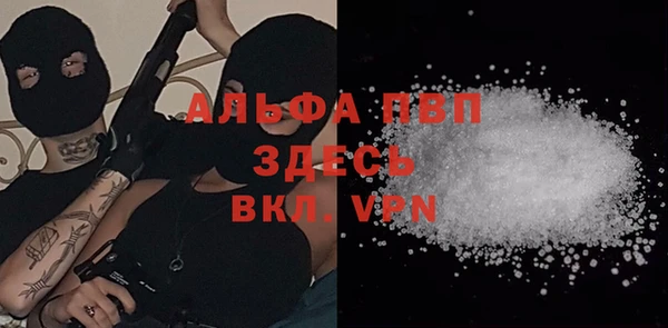 стафф Магадан