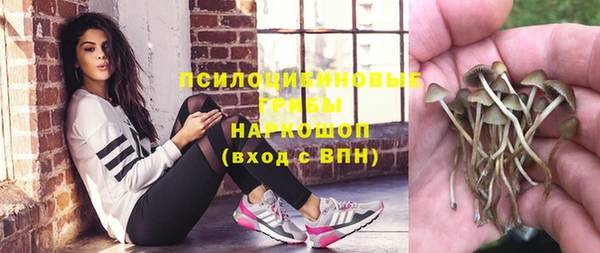 ECSTASY Мегион