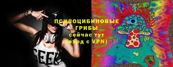 стафф Магадан