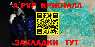 шишки Кимры