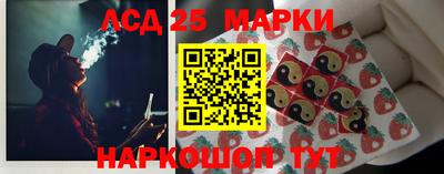 шишки Кимры