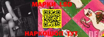 шишки Кимры