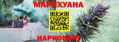 шишки Кимры
