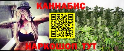 шишки Кимры