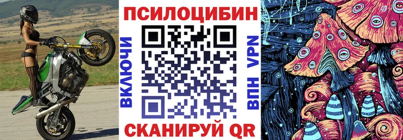 Псилоцибиновые грибы GOLDEN TEACHER  сколько стоит  Пятигорск 