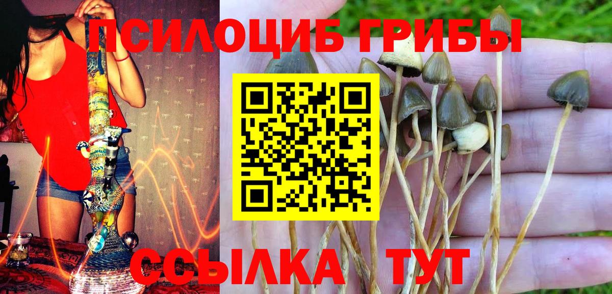 Псилоцибиновые грибы мухоморы  Псилоцибиновые грибы прущие грибы  Вход с VPN  дарнет шоп  Пятигорск 