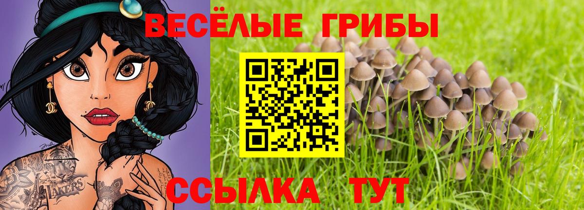 Галлюциногенные грибы ЛСД Пятигорск